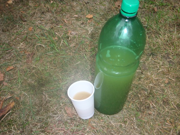 Burčákový pochod Mutěnice 2009