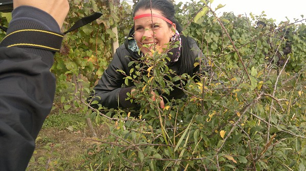 Burčákový pochod 2011
