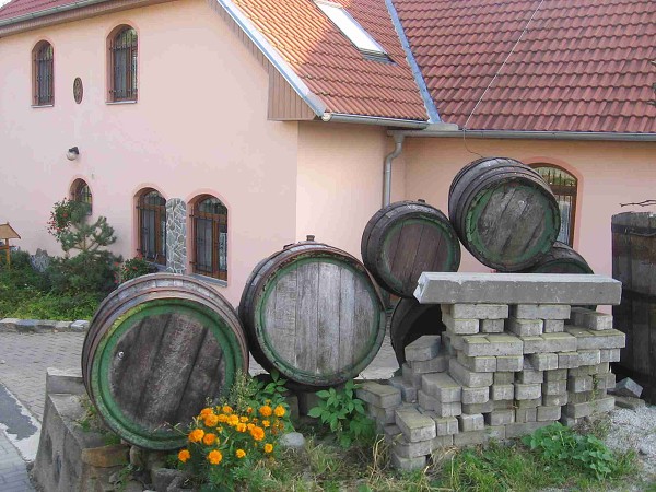 Burčákový pochod 
