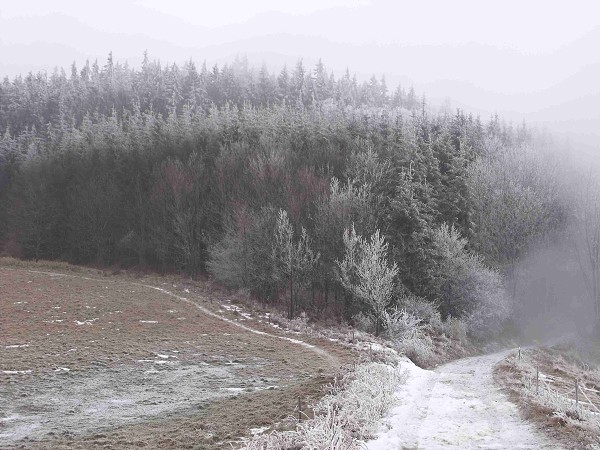 Výšlap 29.12.2011