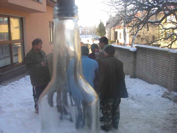 Zabijačka 29.1.2011