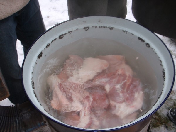 Zabijačka 14.2. 2009